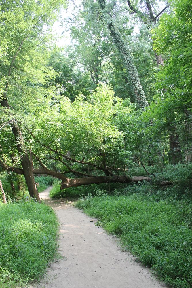 Hiking trail along the Castlewood State Park