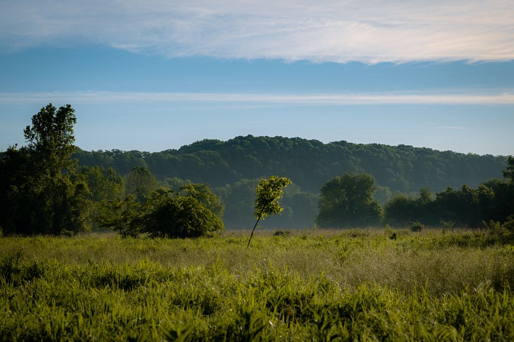 Landscape of the Castlewood State Park