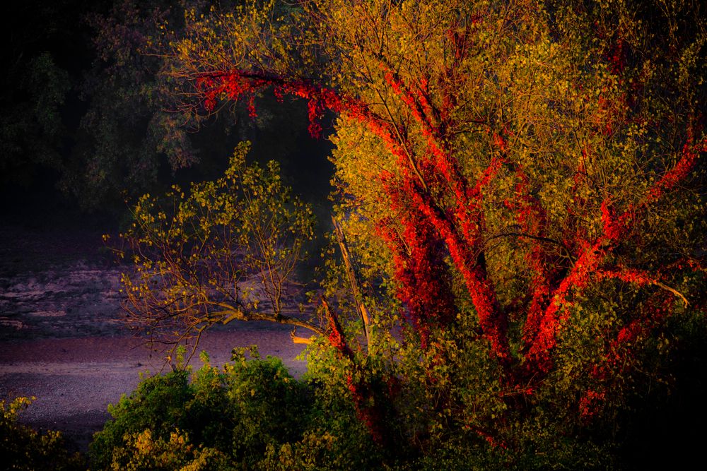 Plunge into Outdoor Action at Castlewood State Park in Chesterfield, MO