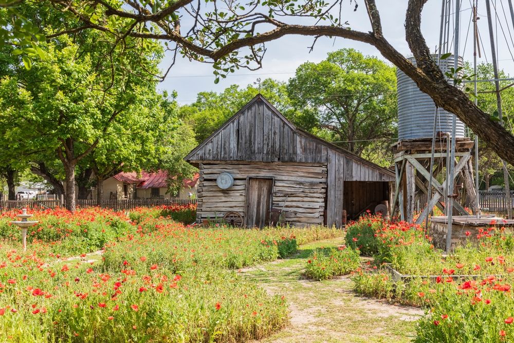 Daytime view of the beautiful Castroville Poppy House