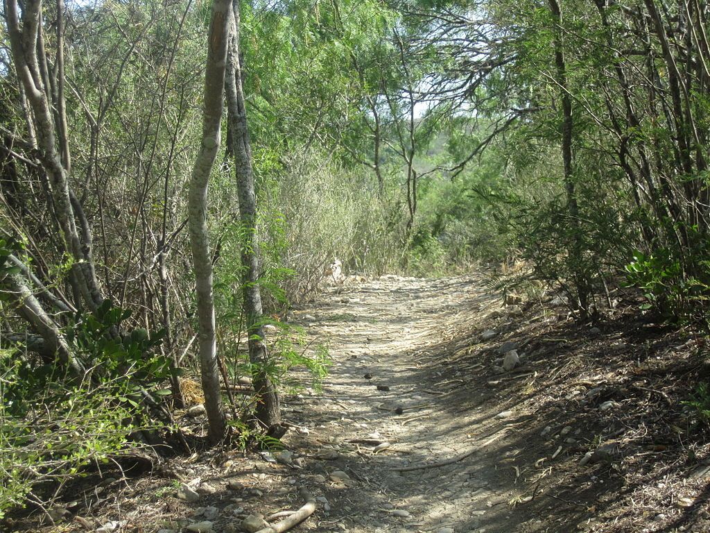 A hiking trail at Castroville Regional Park