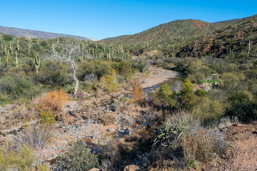 Scenic landscape of Cave Creek Trail Rides