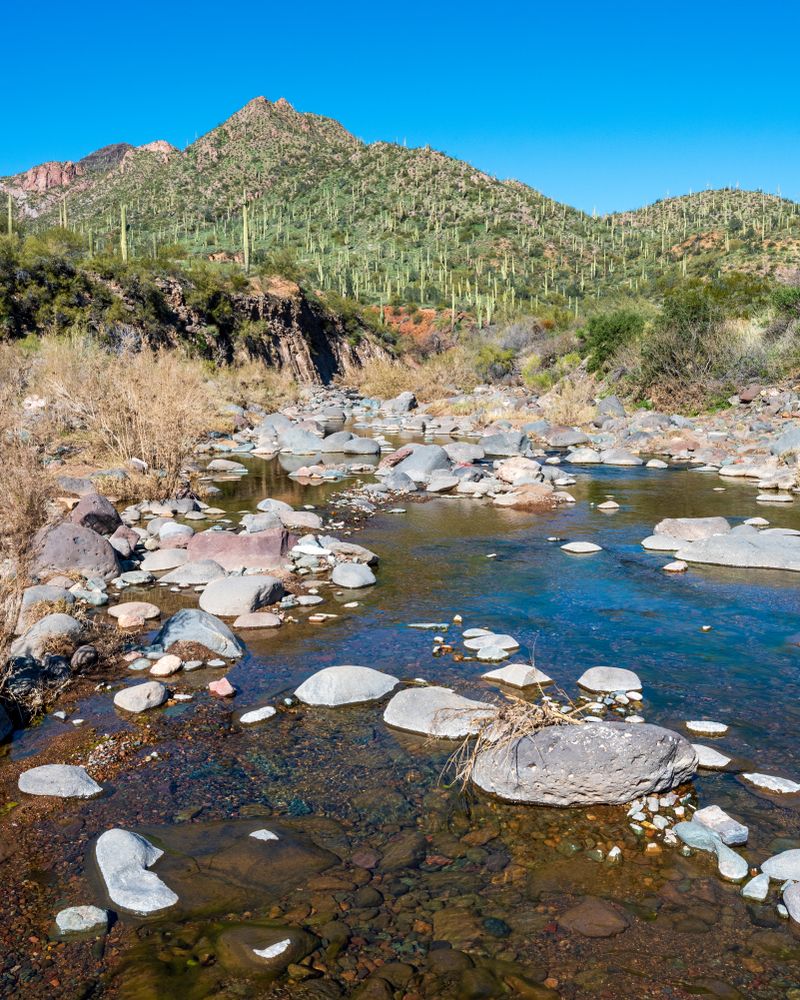River at Cave Creek Trail Rides