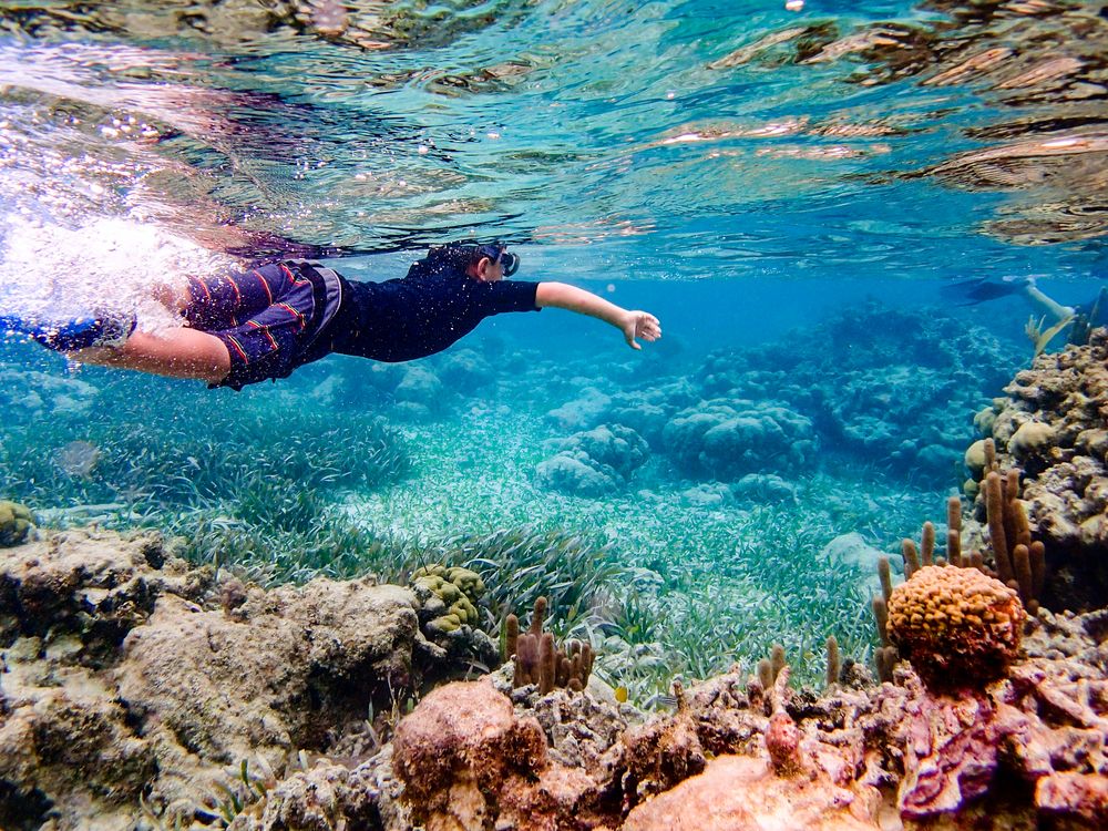 Snorkeling in Caye Ambergris