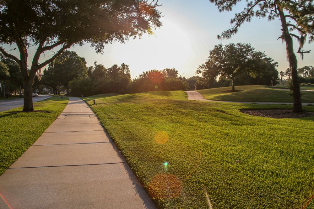 Landscape of Celebration Golf Club