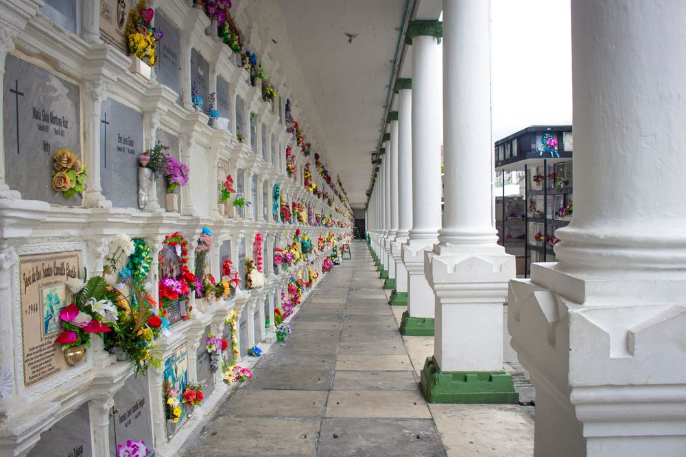 Cementerio Museo de San Pedro
