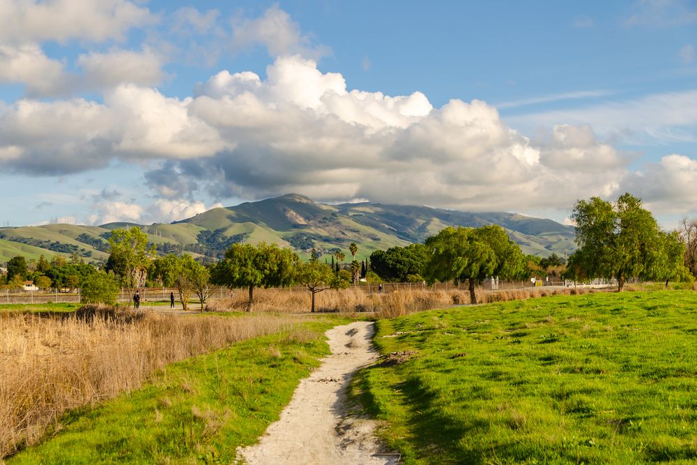 Picturesque view of the grasses and mountains from Central Park