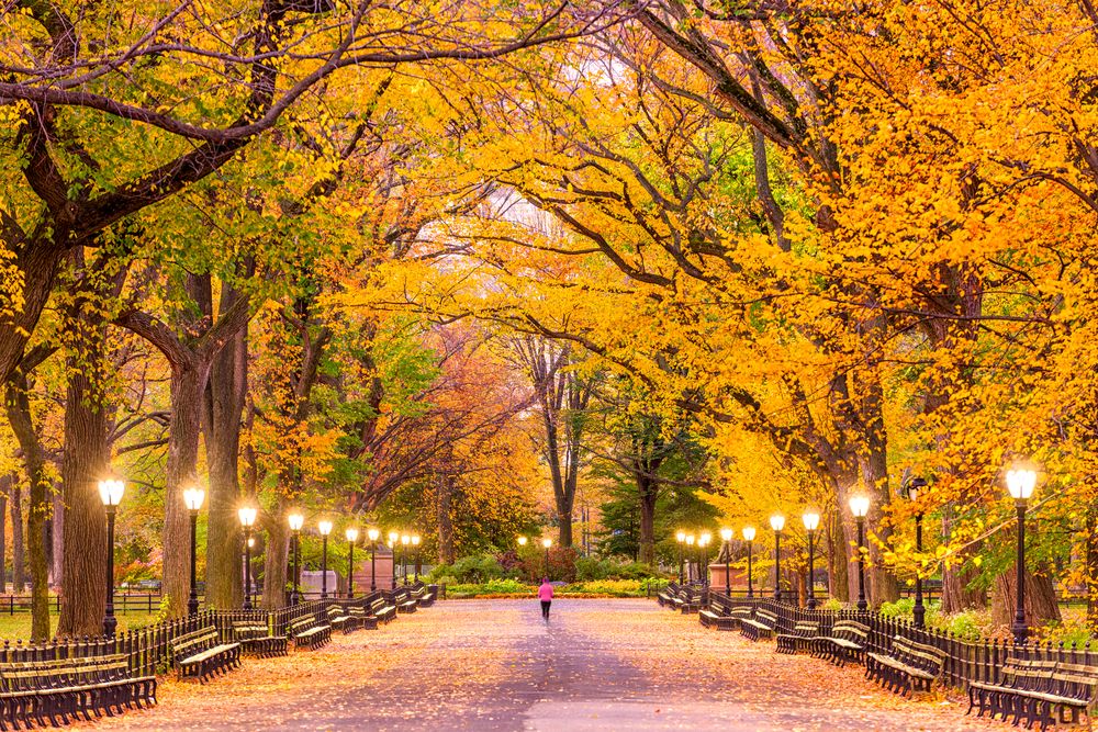 The Mall at Central Park, New York