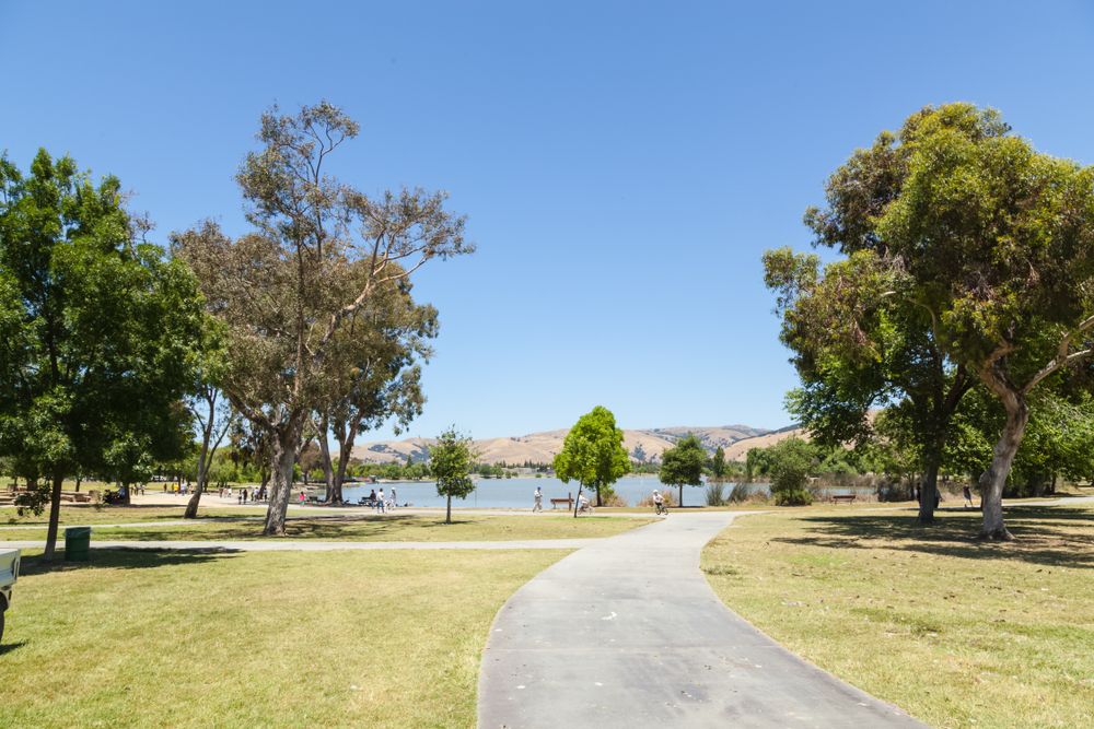 Scenic view of Central Park