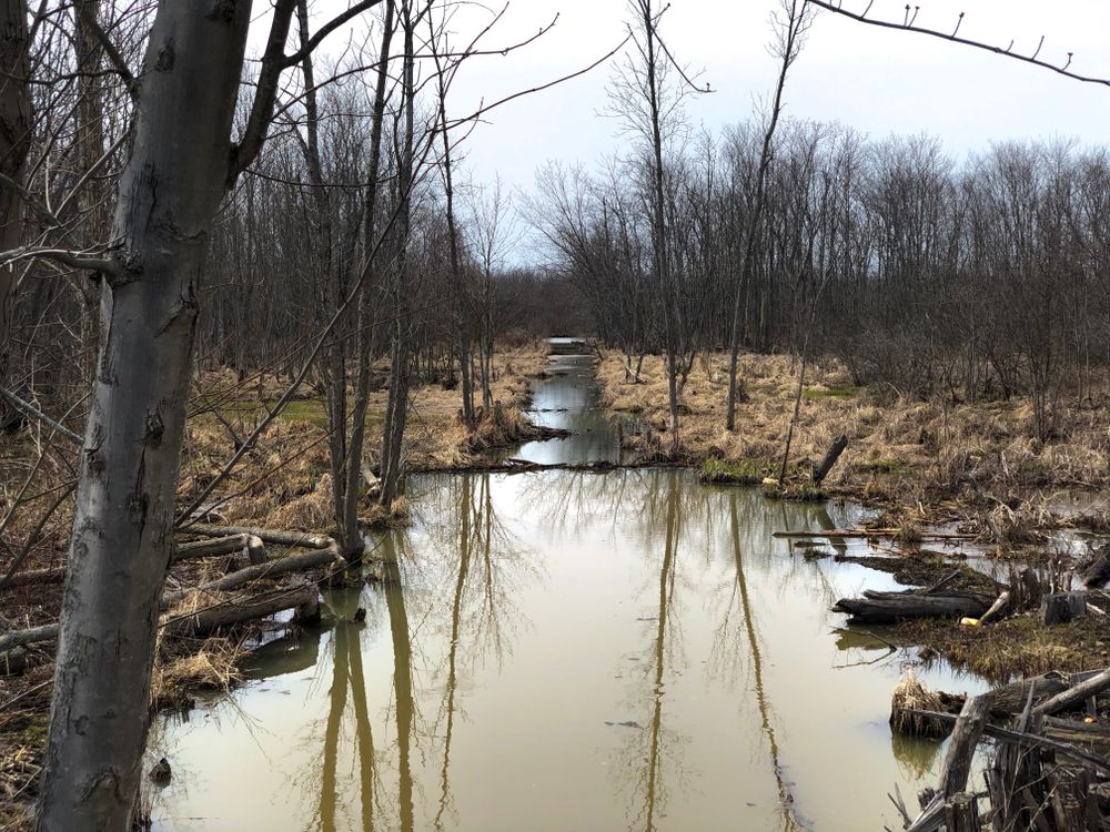 The waters of Chadakoin River Walk