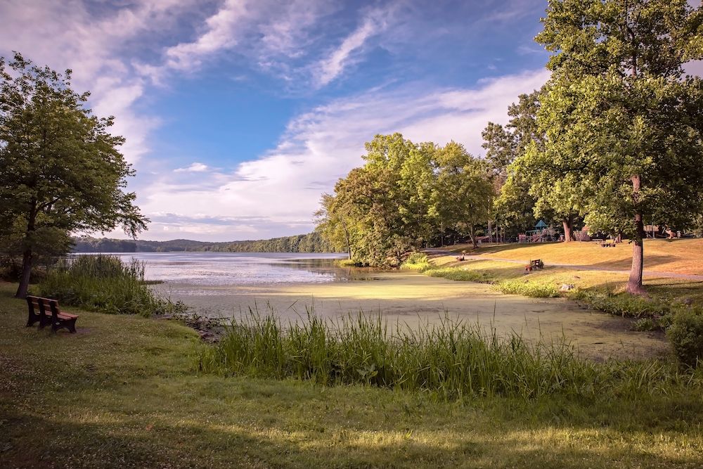 Daytime view of Chadwick Lake Park