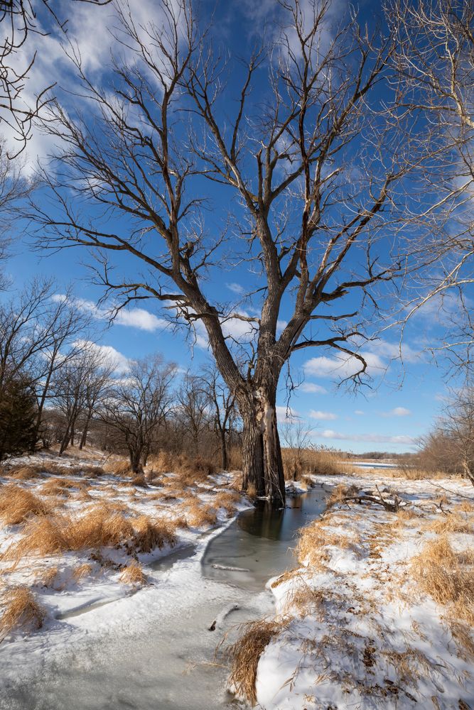 Frozen stream during winter at Chalco Hills Recreation Area