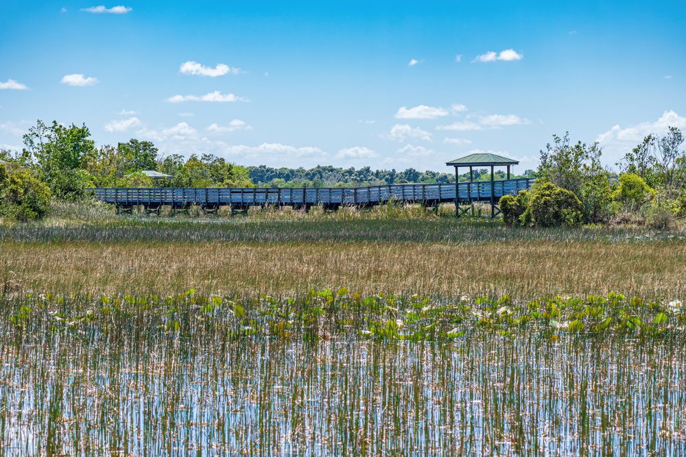 Landscape of Chapel Trail Nature Preserve
