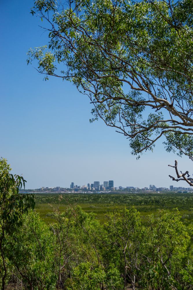 City skyline from Charles Darwin National Park