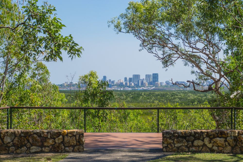 View of the Darwin skyline from Charles Darwin National Park