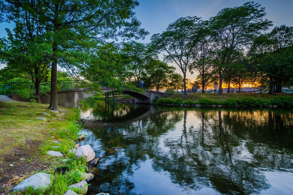 The waters of Charles River Esplanade