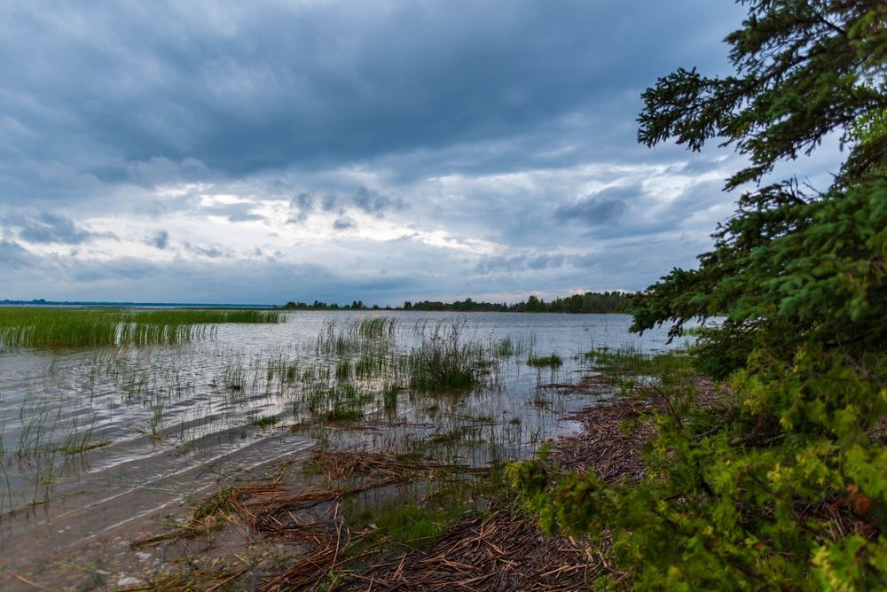 Lakeshore at Cheboygan State Park