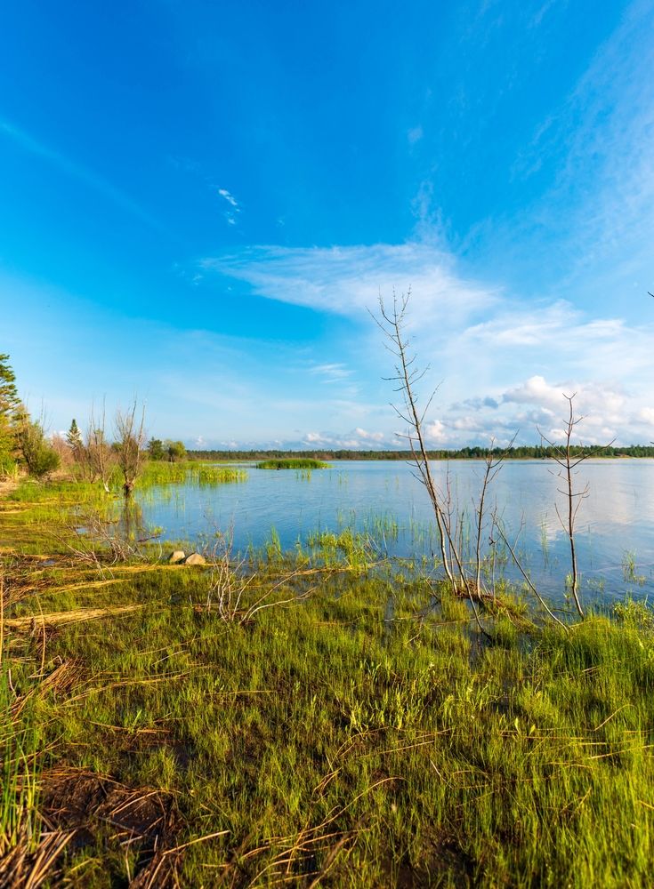 Landscape of Cheboygan State Park