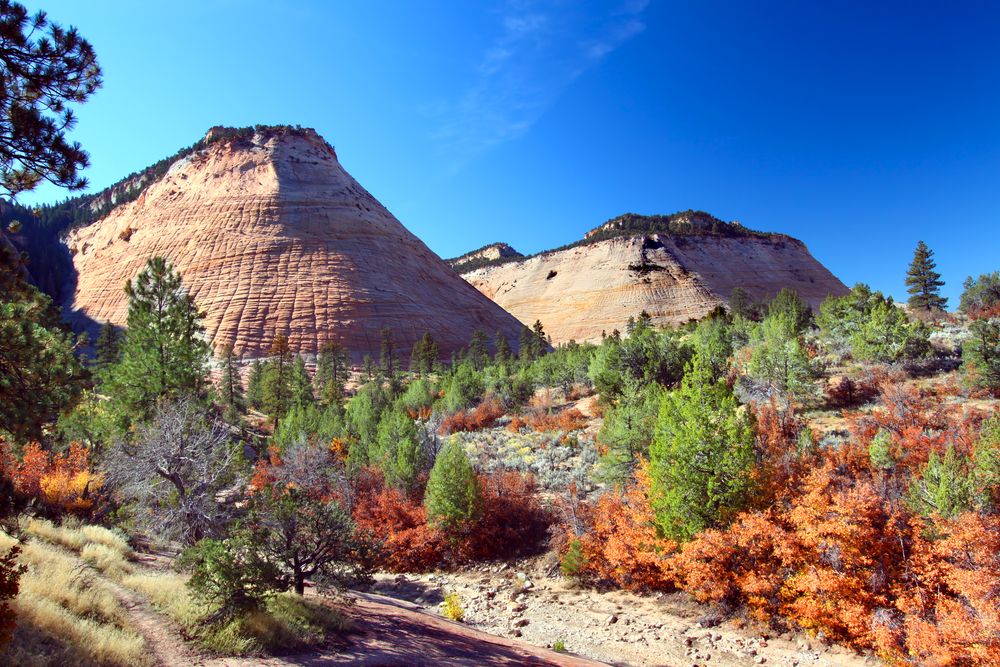 Far view of Checkerboard Mesa