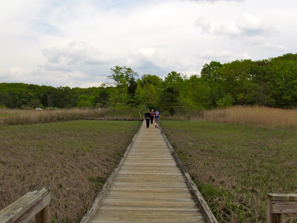 Boardwalk at Cheesequake State Park