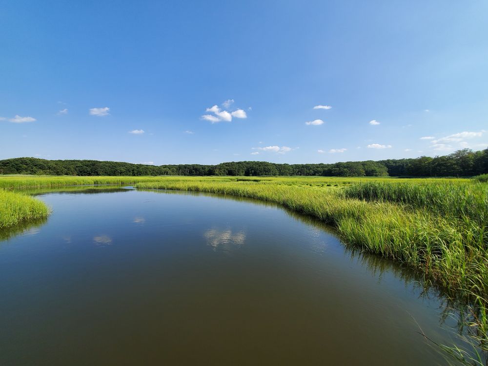 Scenic view of Cheesequake State Park