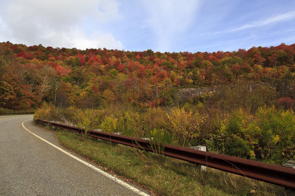 Autumn trees at Cherohala Skyway