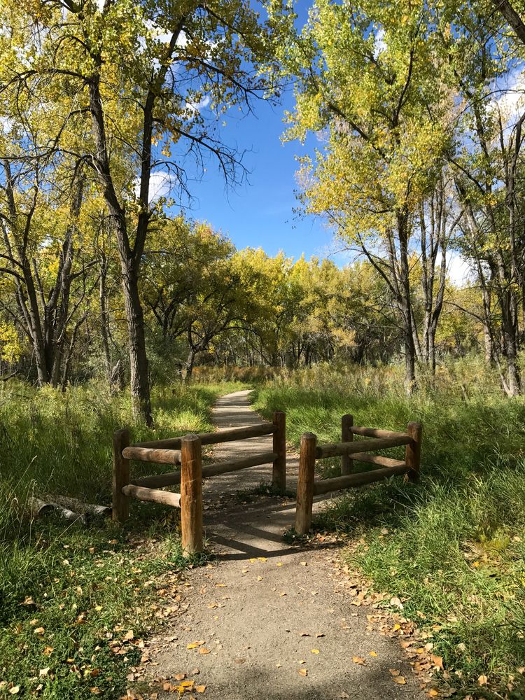 Hiking trail at Cherry Creek State Park