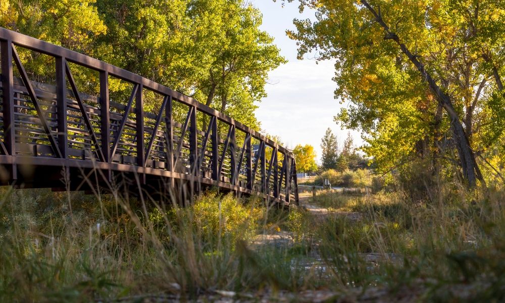 Bridge at Cherry Creek Valley Ecological Park