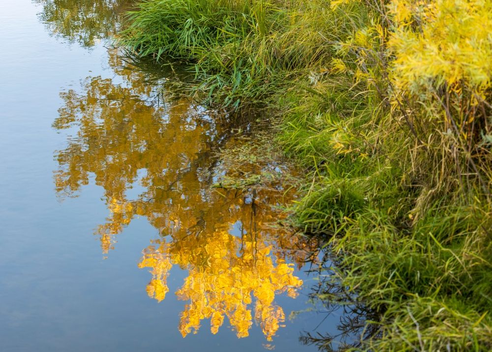 Lake at Cherry Creek Valley Ecological Park