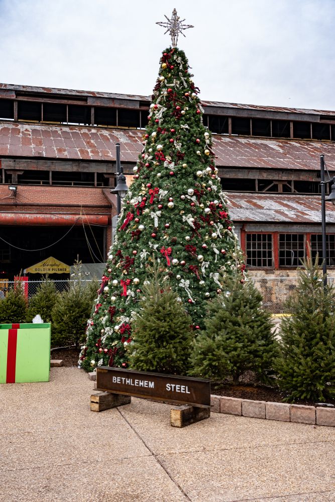 Christmas tree in Bethlehem