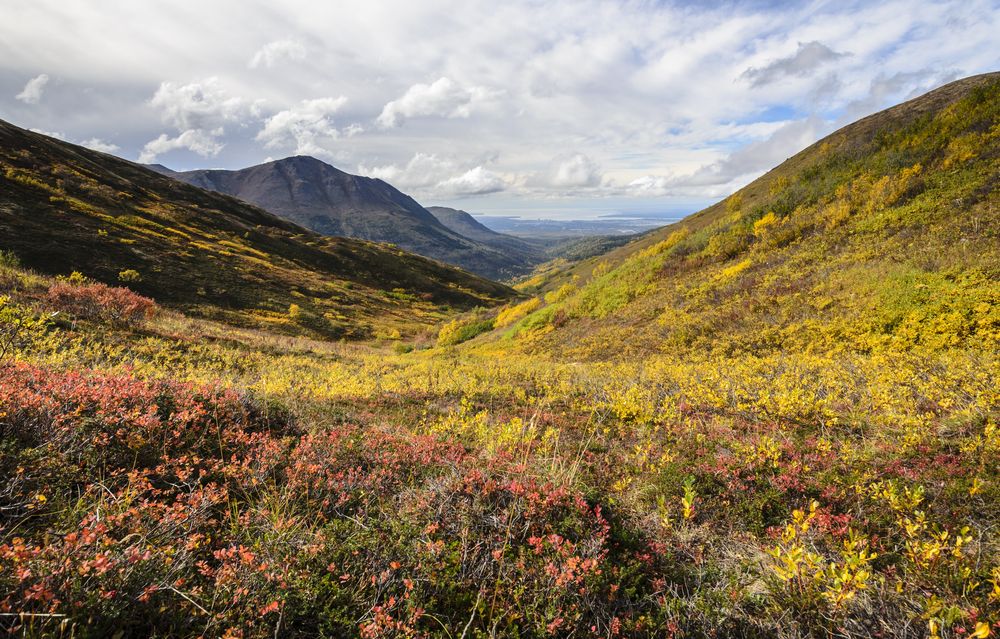 Scenic view of Chugach state park