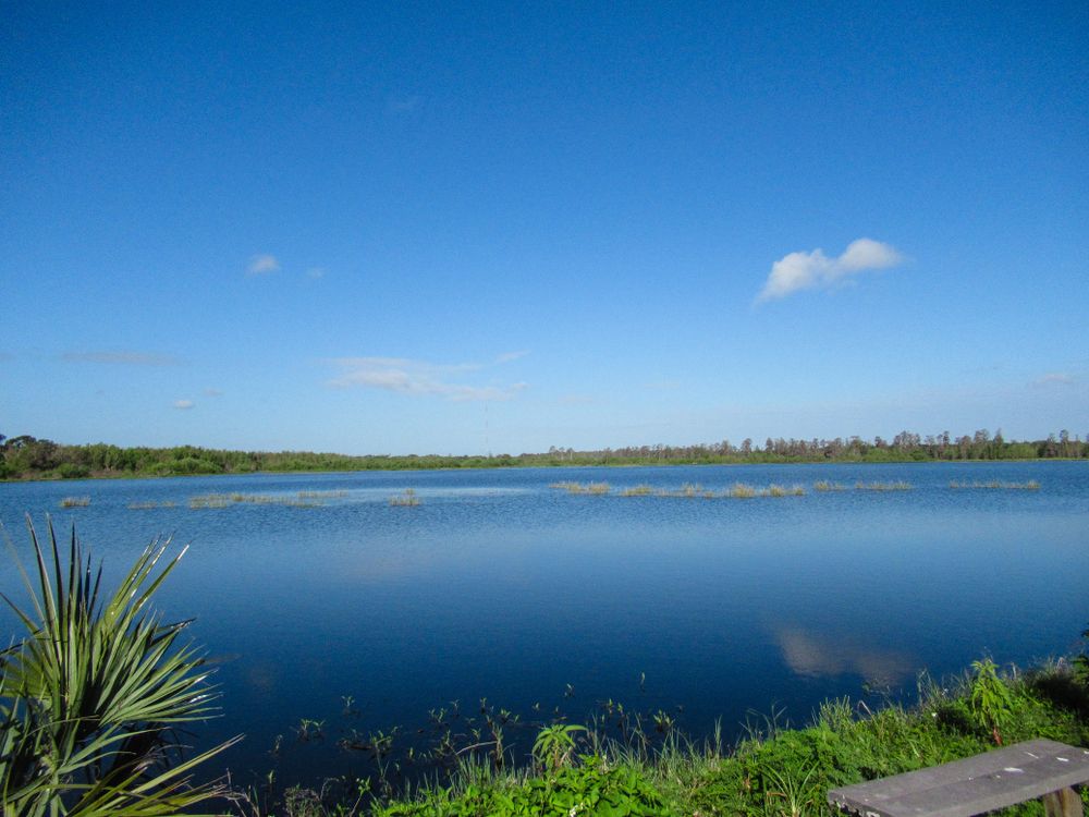 Deep blue water at Circle B Bar Reserve