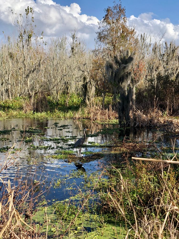 Scenic view of the Circle B Bar Reserve