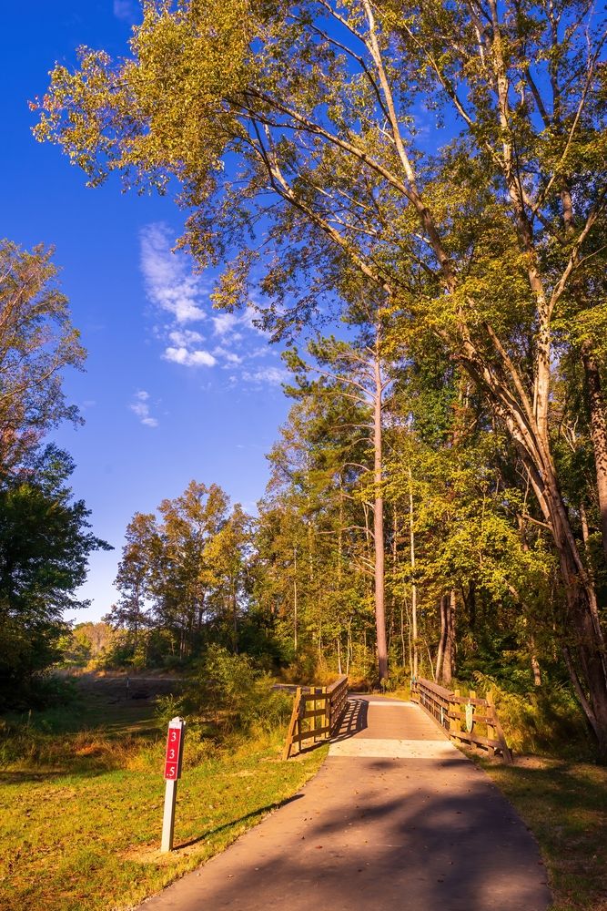 Trail at Clayton River Walk