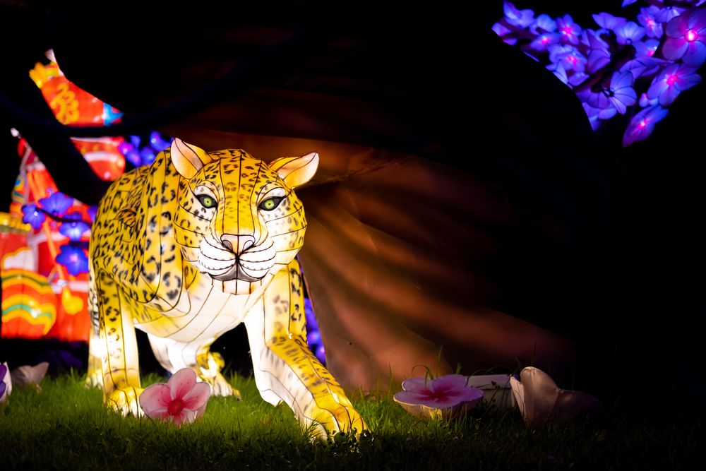 Display of inflatable leopard at Cleveland Metroparks Zoo