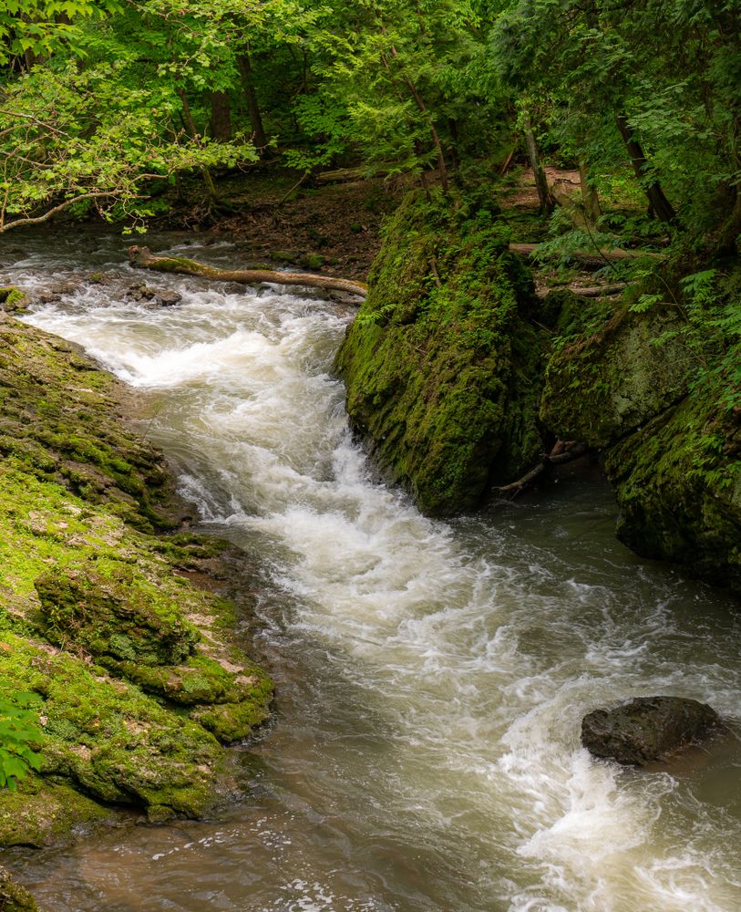 Water gushing at Clifton Gorge State Nature Preserve