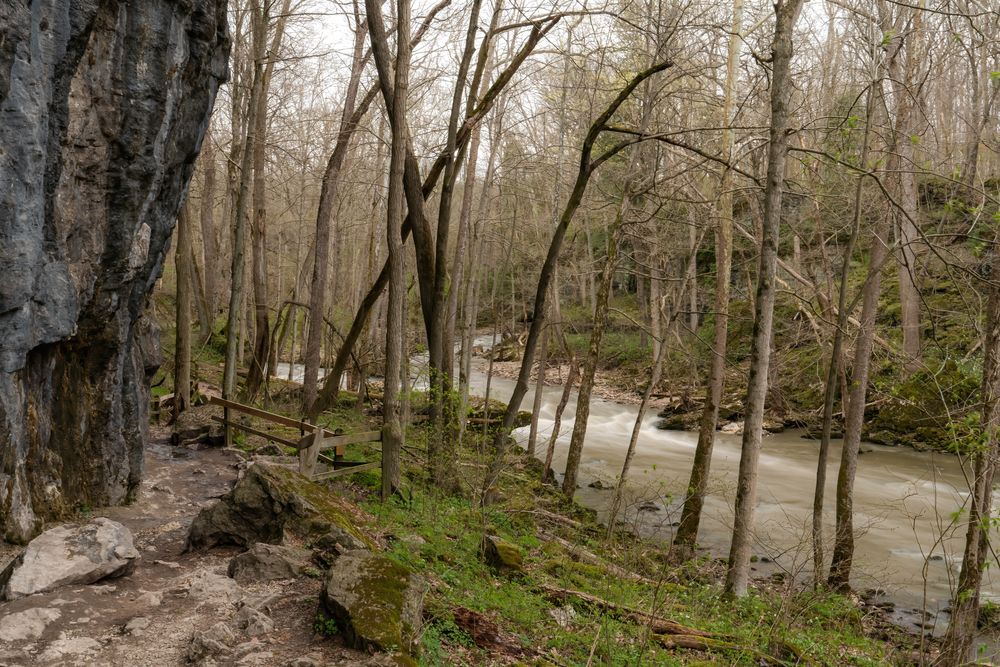 Landscape of Clifton Gorge State Nature Preserve