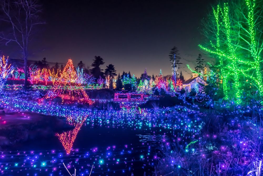 Coastal Maine Botanical Gardens Aglow