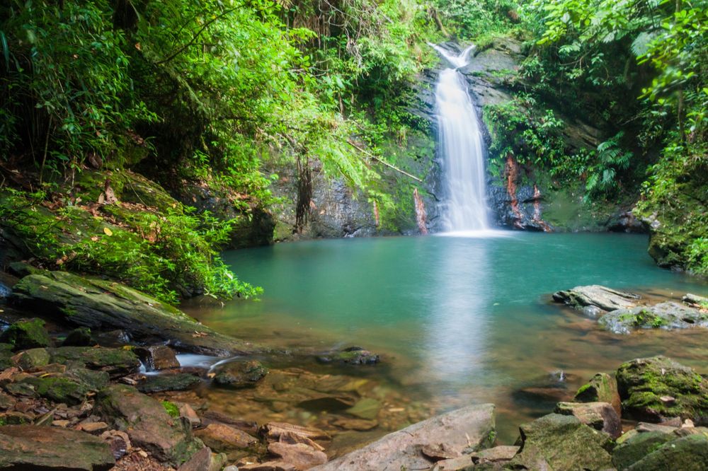 Waterfall at Cockscomb Basin Wildlife Sanctuary
