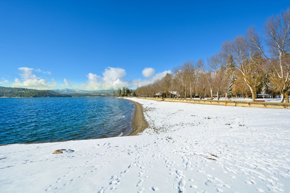 Snow covered Coeur d'Alene City Park