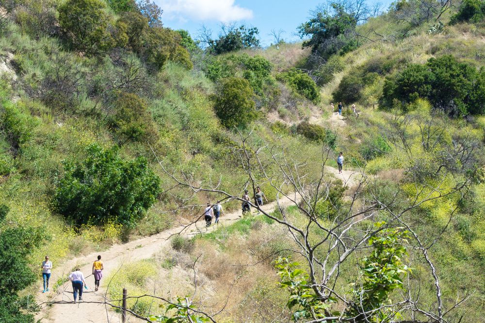 Hikers along Coldwater Canyon Park