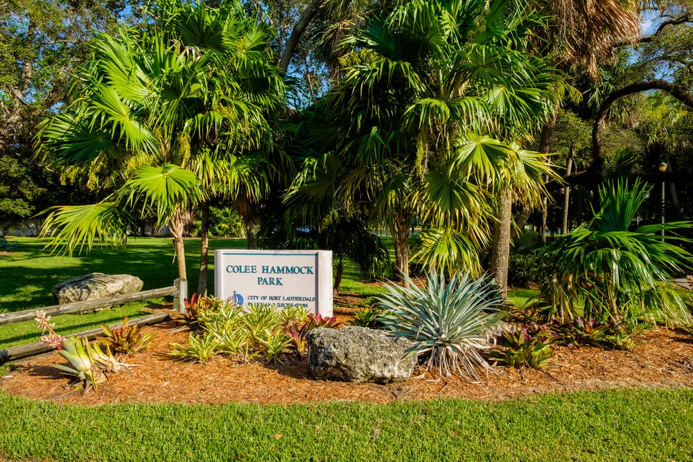 Scenic view of Colee Hammock Park