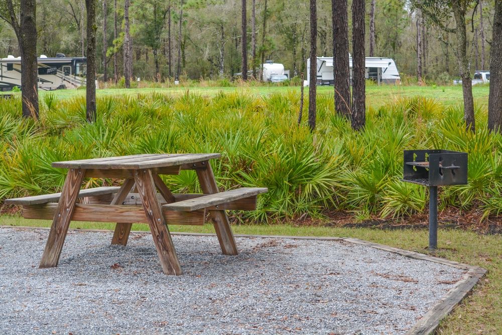 Picnic benches at Colt Creek State Park