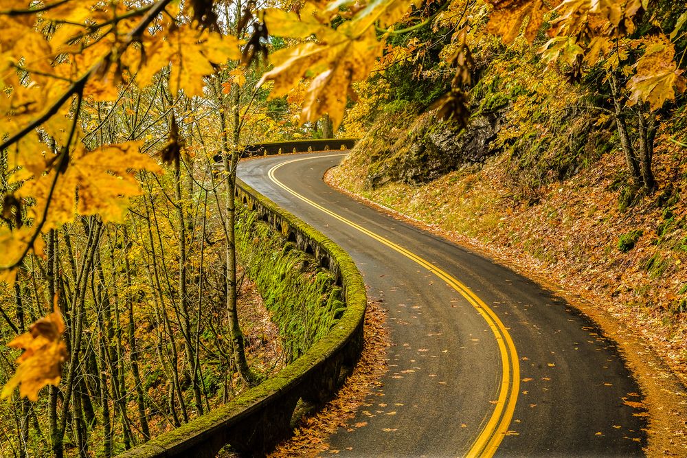 Highway of Columbia River Gorge, Oregon