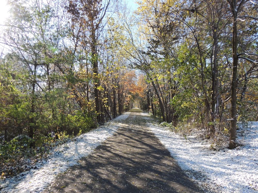 Long narrow paved road with trees on both the sides