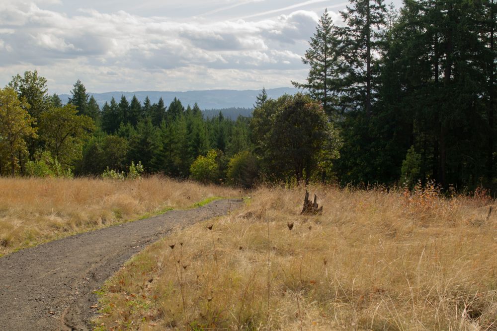 Hiking trail at Cooper Mountain Nature Park