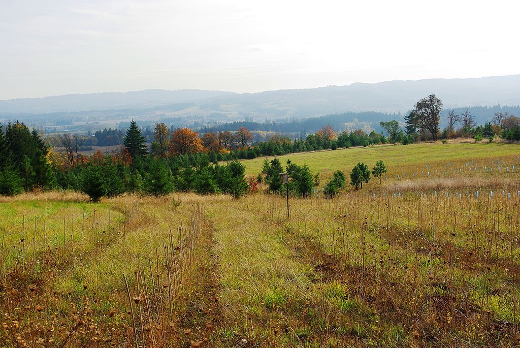 Landscape of Cooper Mountain Nature Park