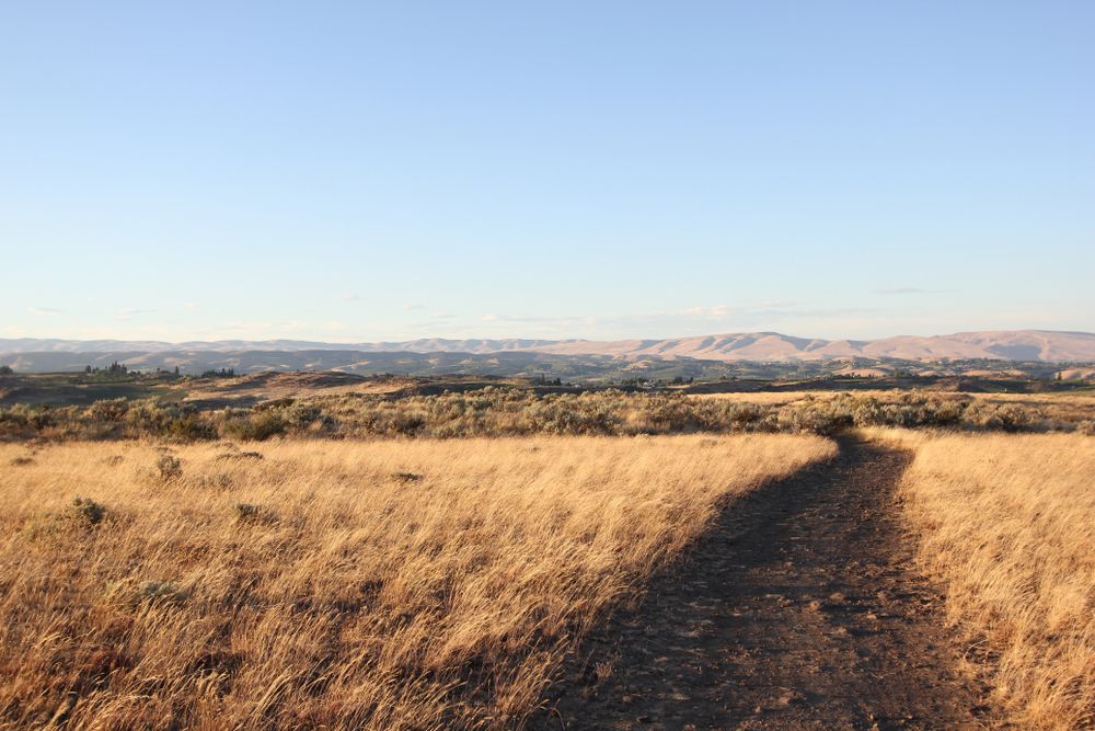 Scenic view of Cowiche Canyon Trails