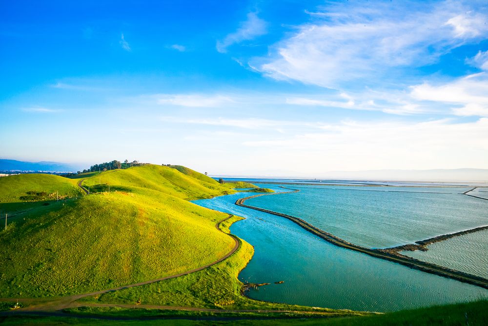 Scenic view of Coyote Hills Regional Park