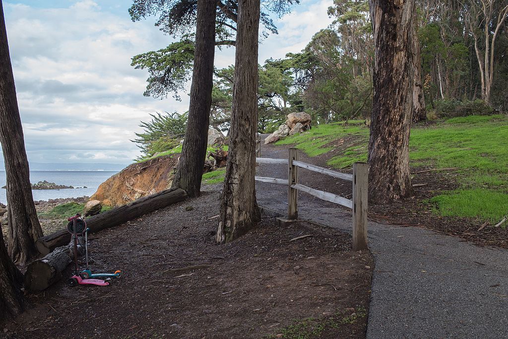 View of Coyote Point Recreational Area